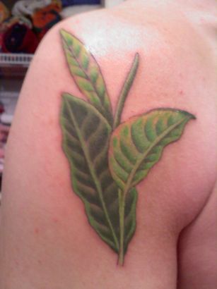 Leaves Tats On Shoulder